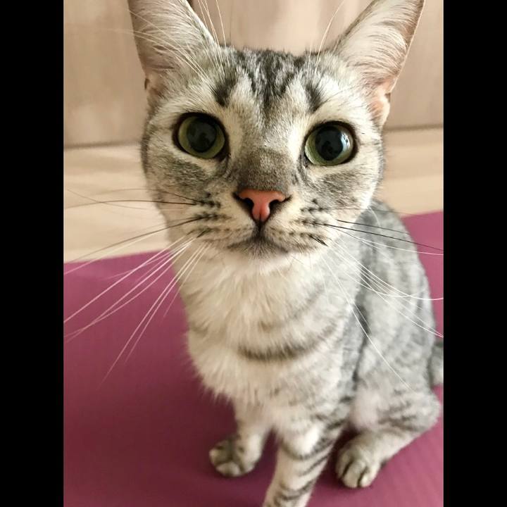 499fe311 14c9 427e 9724 e027701198dd 1536704713619