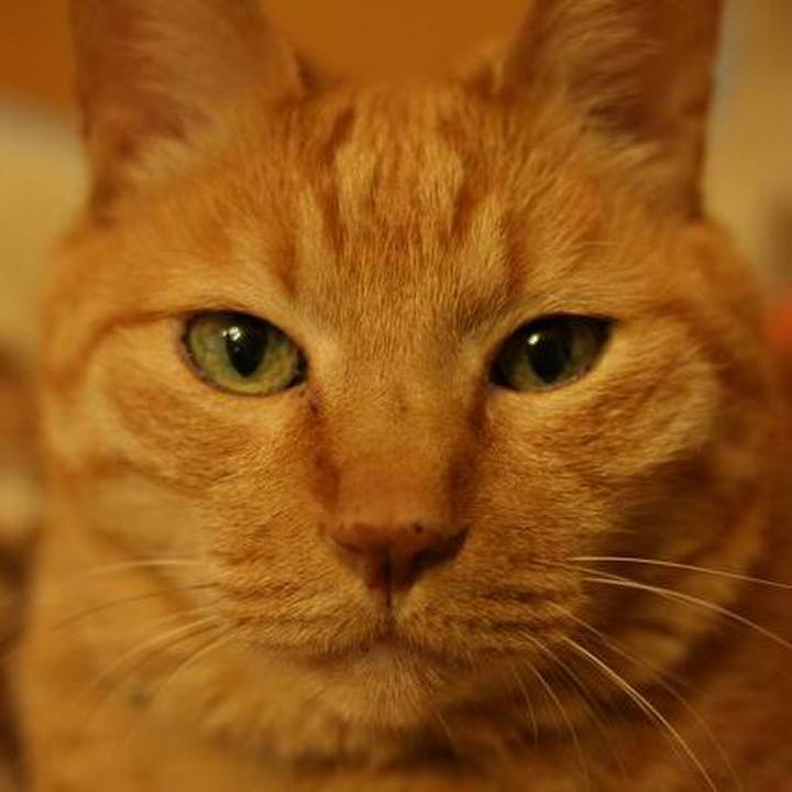 49a01641 ddf0 41fd af54 15c50143d00a 1509801969849