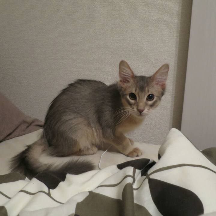 49a03a7a e2d0 4b38 a86e da7ee2fa3f29 1543375334052