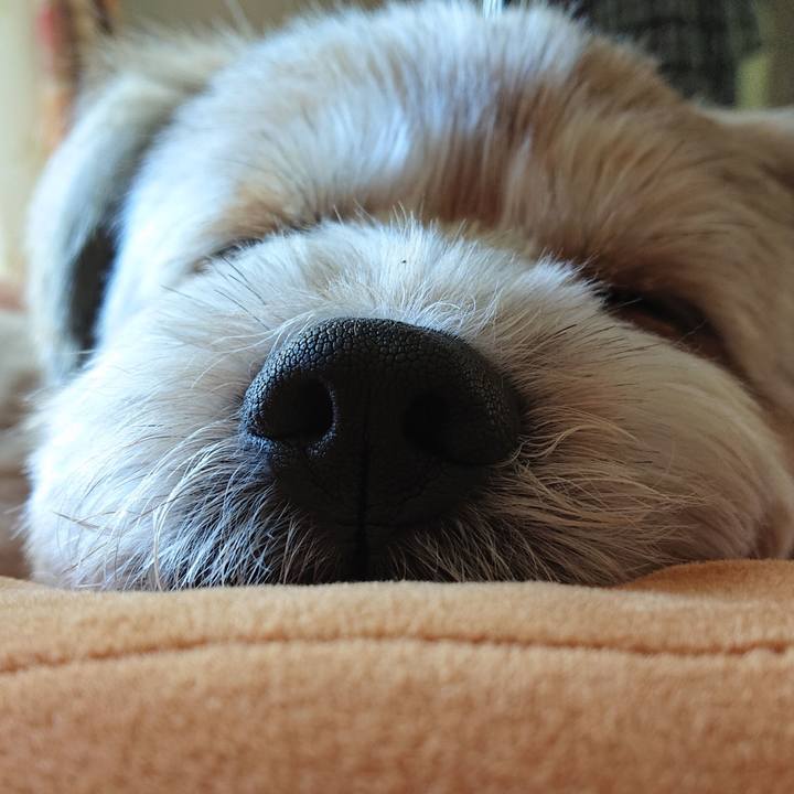 49a099f3 a467 41ea 9e89 68f15aef6676 1597379006652