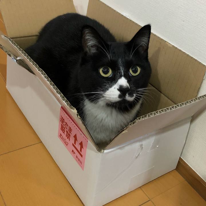 49a09cad ebc5 4d54 ba2c 4f3fac84df62 1634701280578