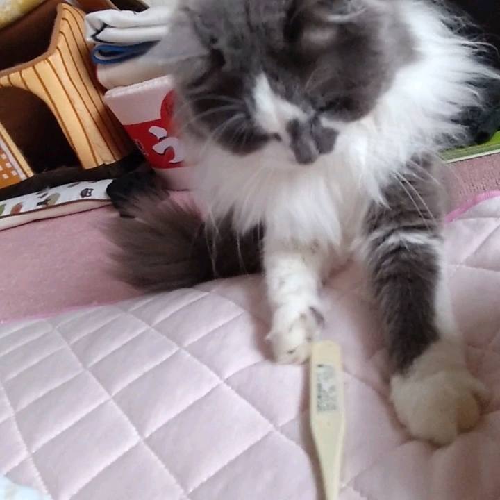 49a0a08a 665b 4418 b5bb 53a08a5a74a1 1624335898599