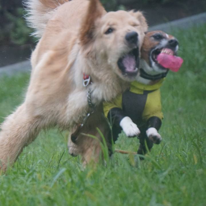 49a0a7d4 45ee 4180 901c 9aeeffacb65f 1601334033935