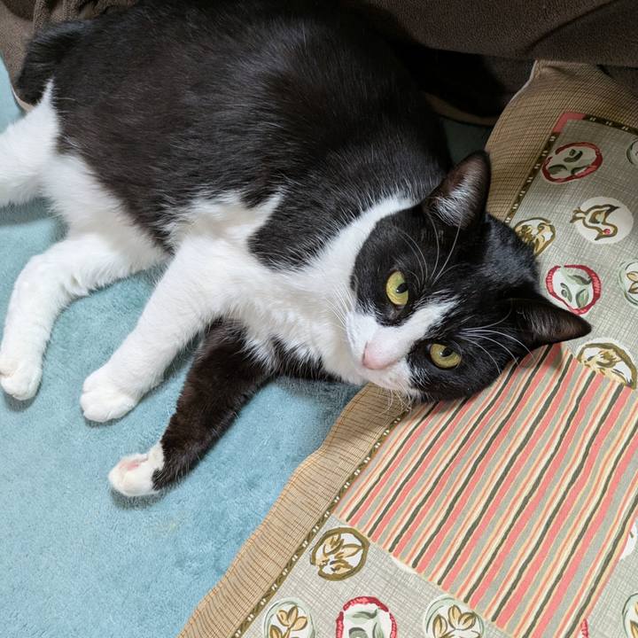 49a0d00e 615e 4b1f bee7 96b725314722 1767599591597