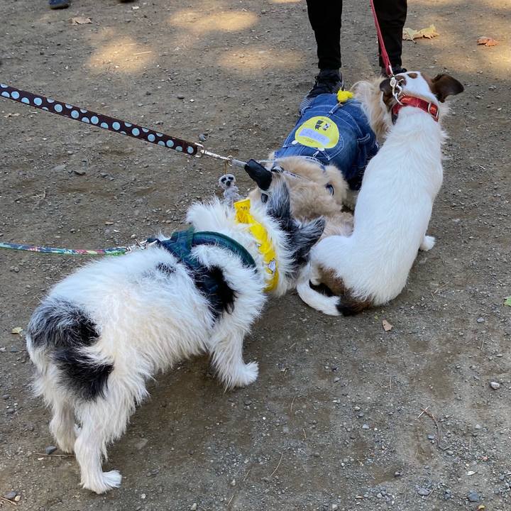 49a0e516 6507 4444 8390 3faac91a7aae 1606560097025