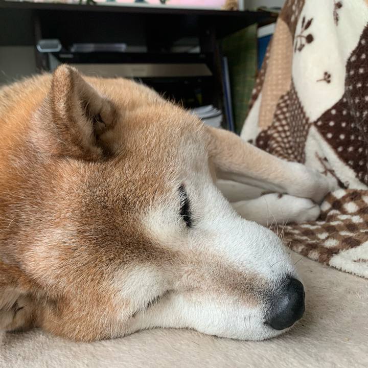 49a0f851 8667 47e2 9407 c394e0126bb5 1587189958781