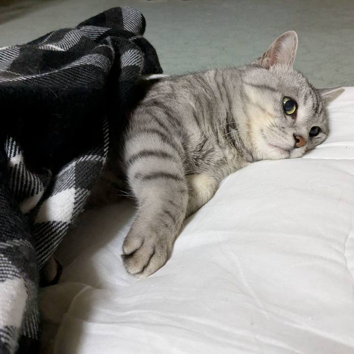 49a1028d c7c7 4054 a986 5d99d3f9c8d3 1771166753840