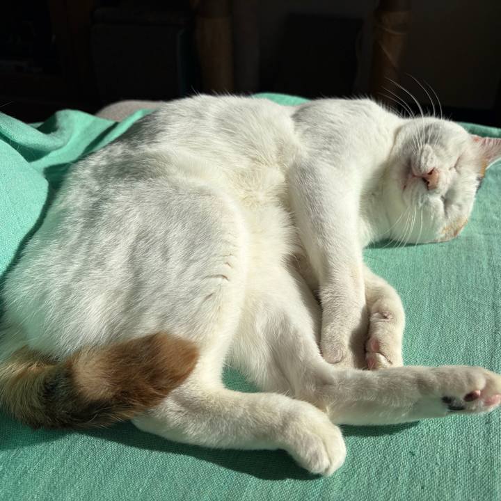 49a13159 6e95 4527 a9c6 b37593b0b019 1766282728150