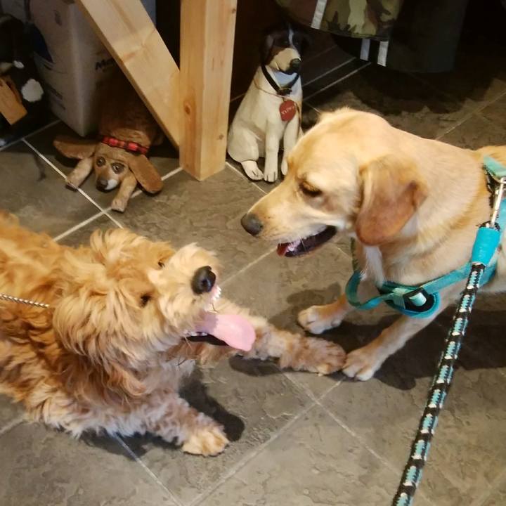 49a13d75 87fa 44bc 8aba efade62b6321 1507965486052