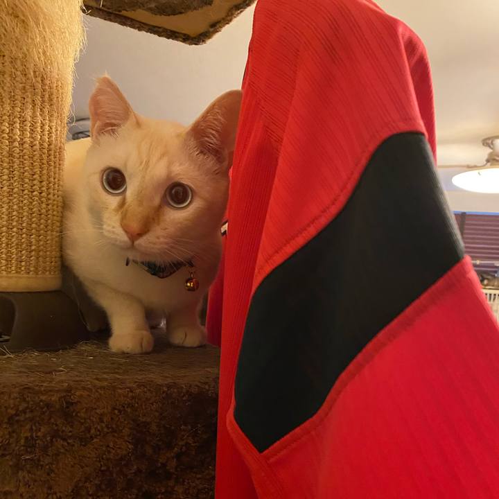 49a16904 7134 4300 b5a6 7810340b14c6 1605138576376