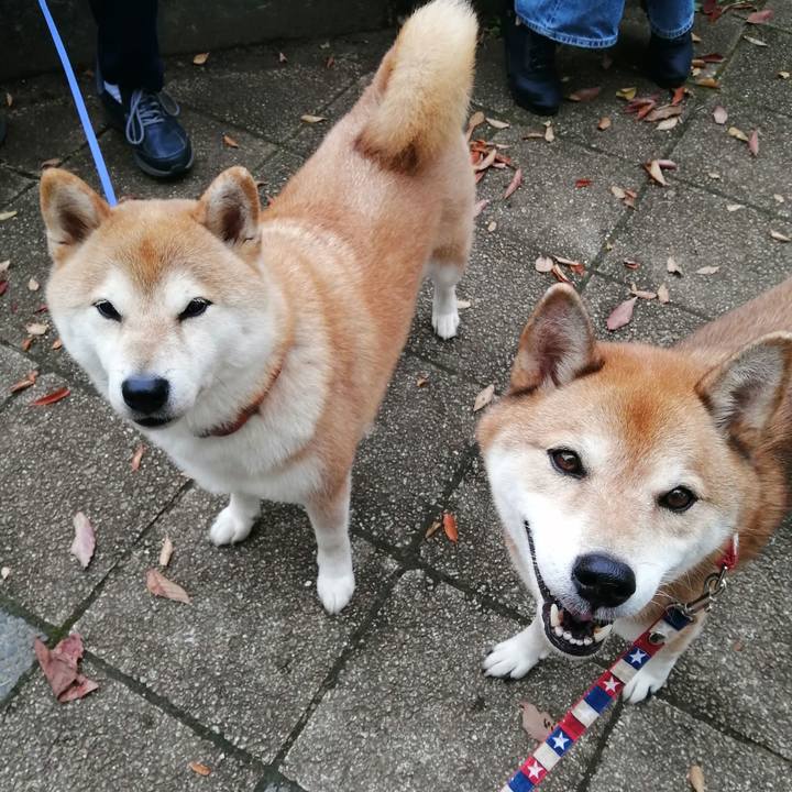 49a18e92 c5ba 4d4e 813a dd649af94988 1663988928860