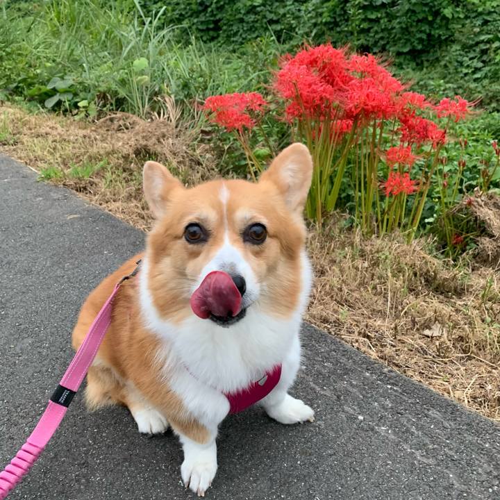 49a1aa27 345a 4375 9c98 93bedf369518 1663405335028