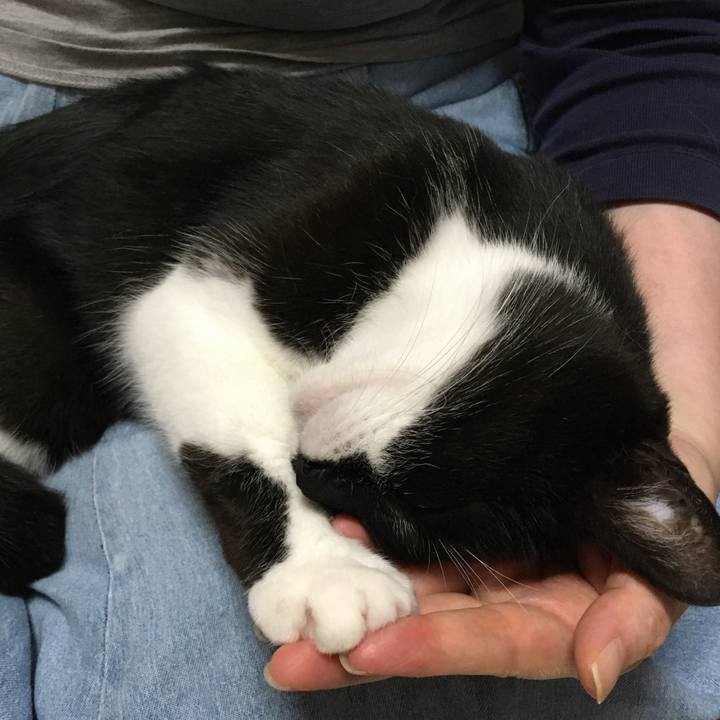 49a21d99 755e 42f6 85ef f1ba8ca9df7d 1593872951889