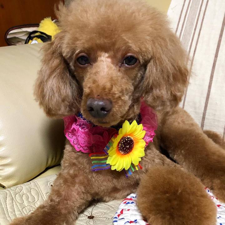 49a242ed b8e1 4e3a 8862 1be32d2a5cc5 1592110873738