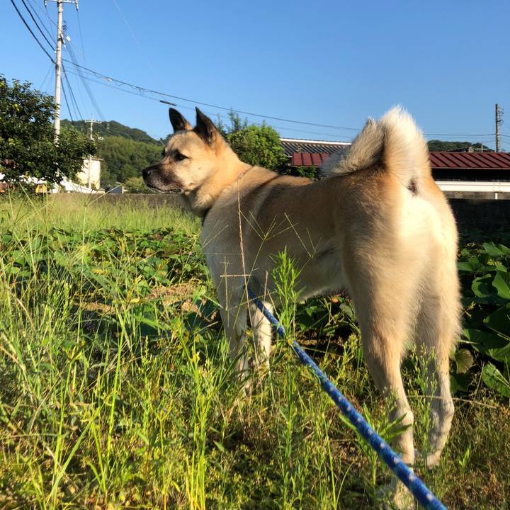 49a2691b c915 439b b7f9 43b14c5bf2a2 1567257226948