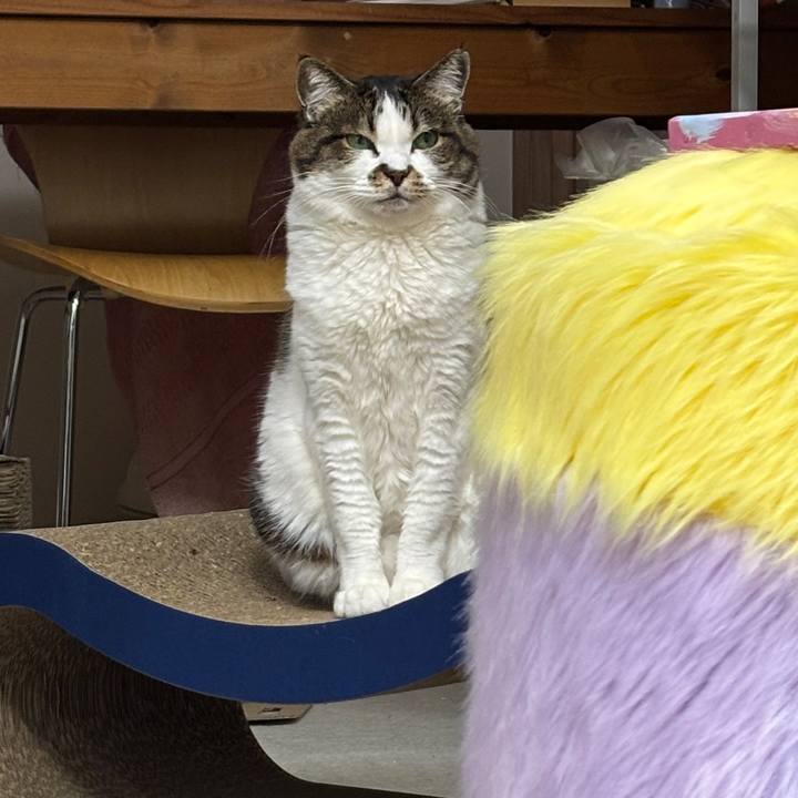 49a29682 f50b 4f3e 9cca e9d87a574787 1774704607927