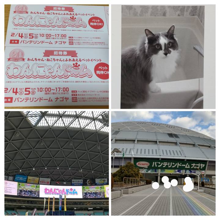 49a2cd44 2084 4fe6 8957 85abfd44a594 1675502864511