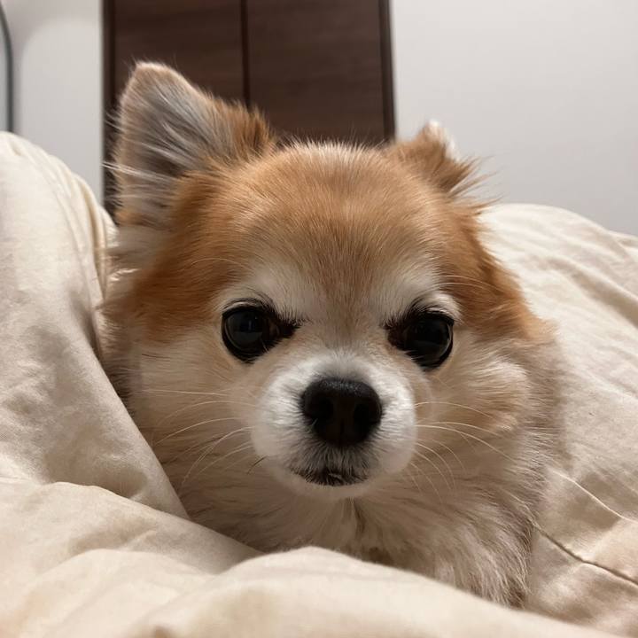 49a31532 a918 49f2 b8dd 25e9f55476fc 1768175608185