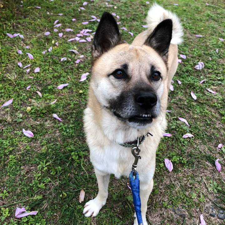 49a36187 b3b0 4b36 900f 6f7ab579ced9 1606479306816