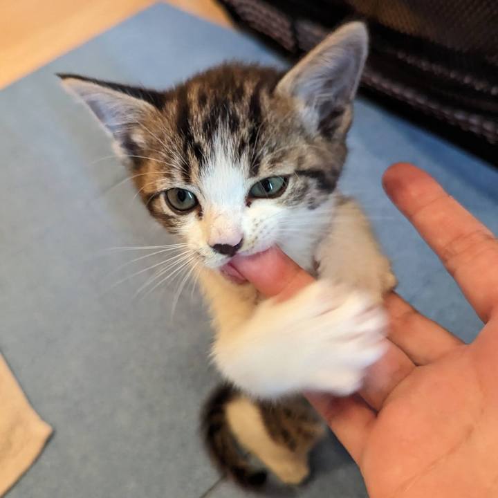 49a362de 2edd 4642 b322 38381ff5b85f 1717654133001