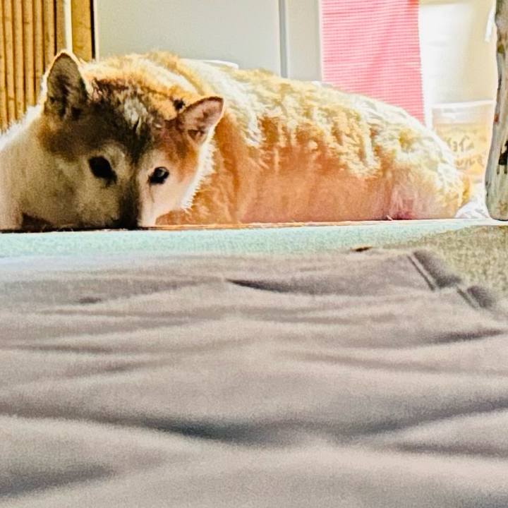 49a3c580 f8a0 441b 86b0 8291bfe6686e 1758884302615