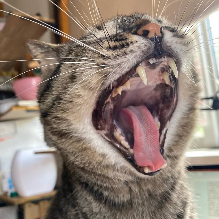 49a3d469 d770 4363 9154 0900481ff7b7 1693115336791