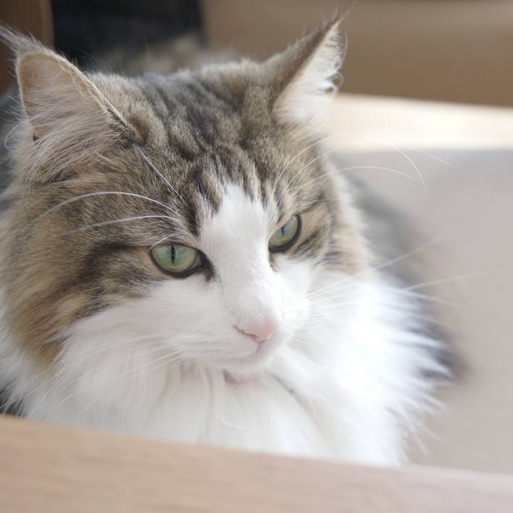 49a3deed 3ea9 4748 bb57 6210122ba9cb 1550374326057