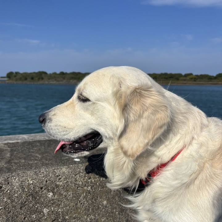 49a41223 f528 40e0 8270 bd77694ada19 1762495655798