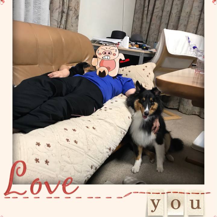 49a41866 052a 4a87 89f4 93946ac31383 1533593128585