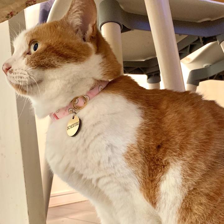 49a4685f 2c19 4867 bcbc 2ac64b476558 1569761182575