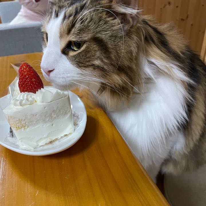 49a4751d 8ca8 468d 92b7 612612ea6884 1673175859307