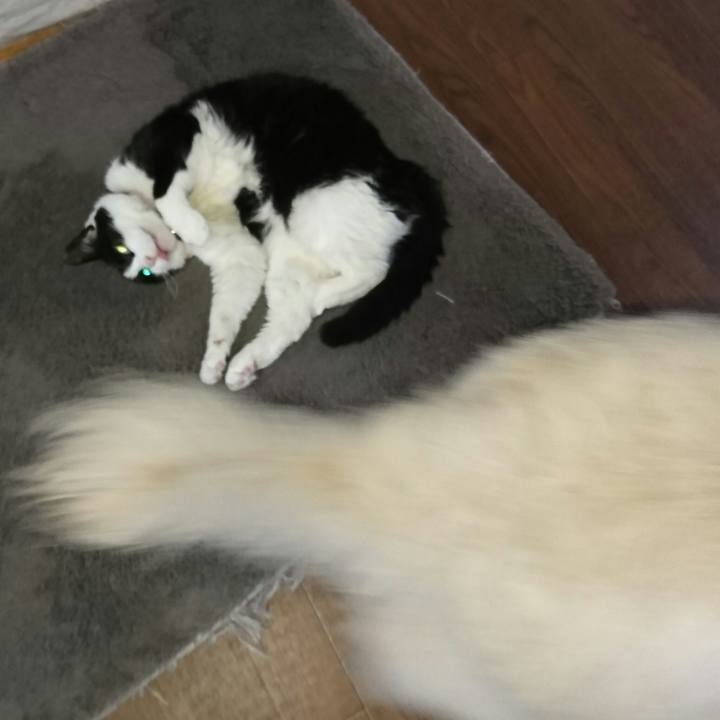 49a475b4 0d0f 495c 8200 5ef2eda92c67 1562141937155