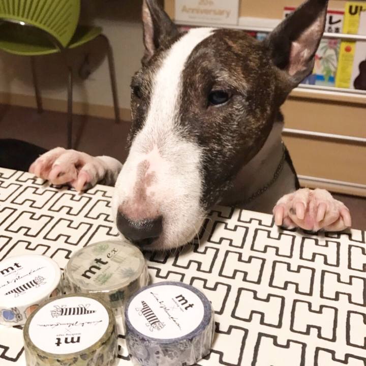 49a4b311 0fe1 409a 8d99 ca4b009af045 1510397658156