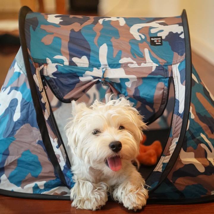 49a4b41e 551e 446b a7d5 f822af018e20 1524640759280