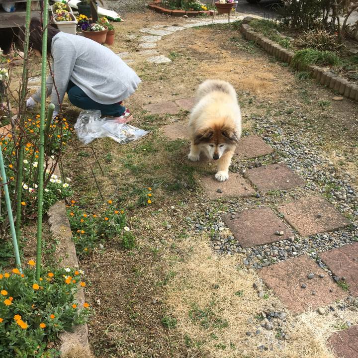 49a4b89e 83e1 470e 991b e36c9b3af74a 1576997013853