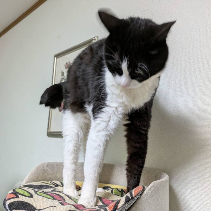 49a4ca3e d021 4049 acf9 6c5075c4ef9b 1744866088309