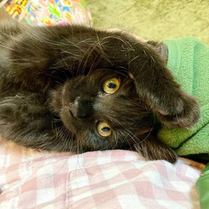 49a4ccd5 dad8 4ff5 8800 47a1aae663d0 1701745039543