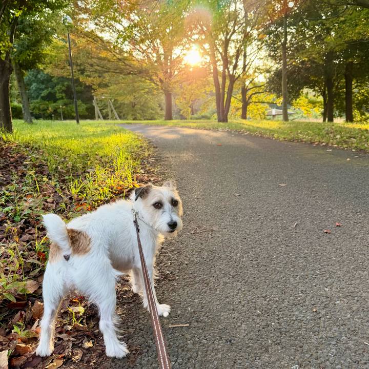 49a4d466 4c1c 435d 99be d1c959f2d6b4 1762577650909