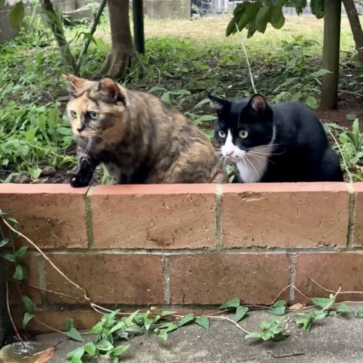 49a4d4bb 2003 4c06 8dcf 44e0673a61c4 1734032303452