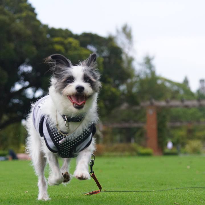 49a50257 ac4e 4ee4 8a0c 8ba4438004ea 1568375460653