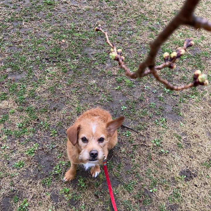 49a50605 b928 4da0 afc4 2a010acd4652 1615622265906