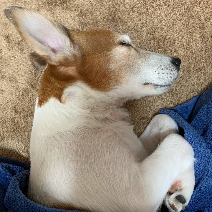 49a52947 2a50 4d50 a39a ec0e50074b24 1585193185811