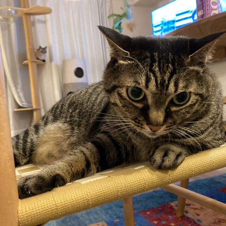 49a55ab3 f9cd 4f53 b577 a4e73261e307 1654777822510