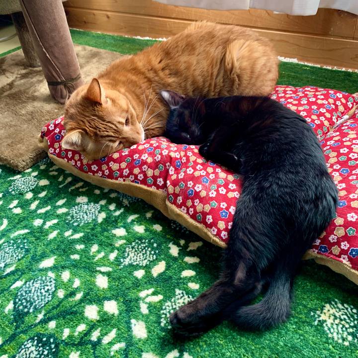 49a5a915 5ecc 4ef3 a177 aace5a918d23 1645070934676