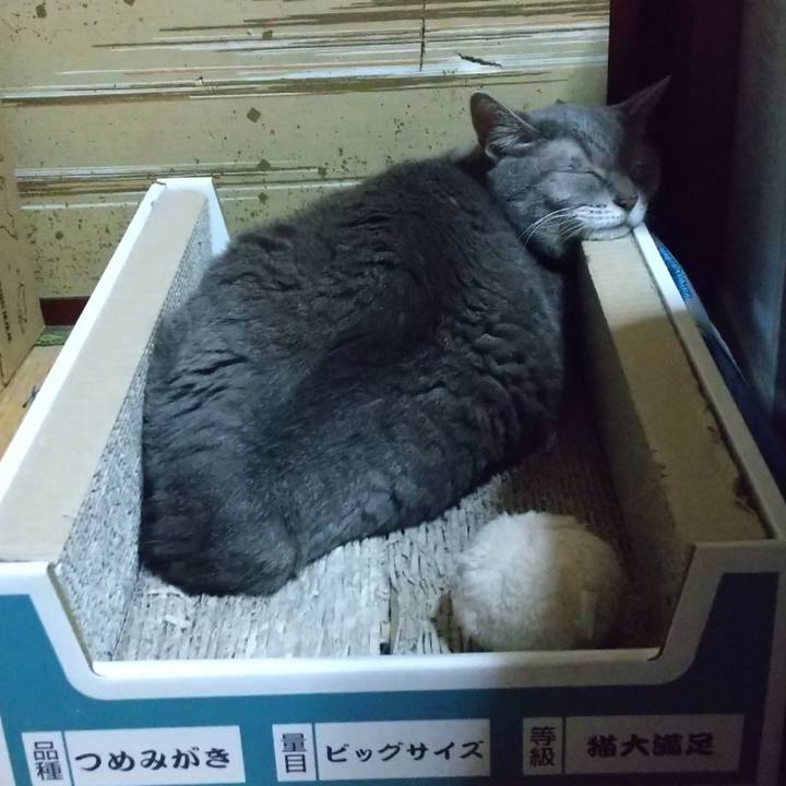 49a5e143 2b9e 48b8 b603 41fd09eb8477 1729432662140