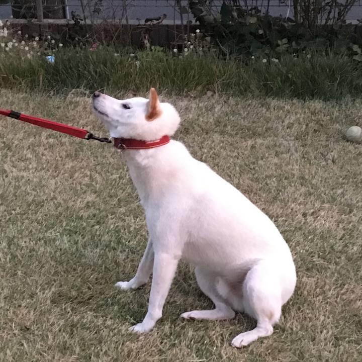 49a5fee6 898d 4989 bf9b caf04942da9d 1543324787574