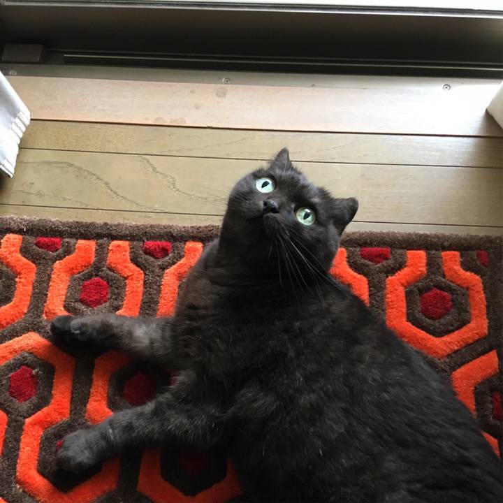 49a62ffe 757d 43d6 8cf3 967fc89e5bce 1531115905041