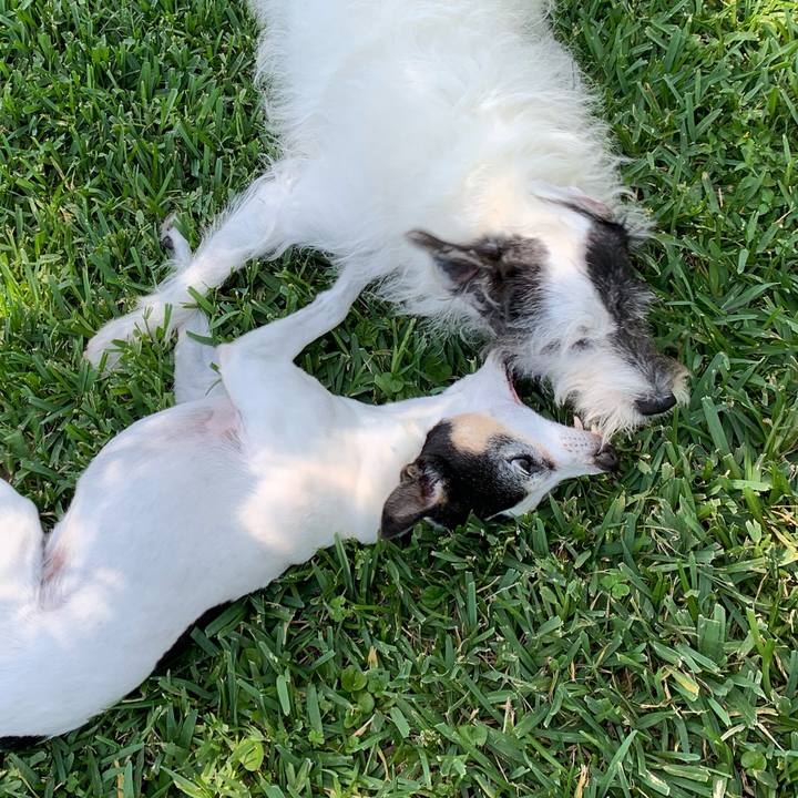 49a65000 f869 4e90 b09d 9934b075d423 1589407395609