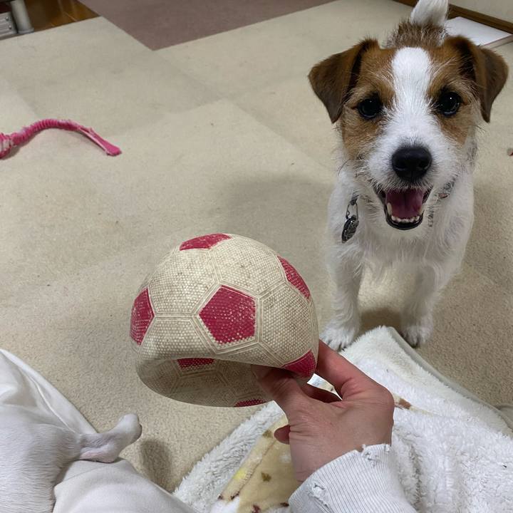 49a65148 74c4 444e b27d b05dfcd0e7eb 1746872943102