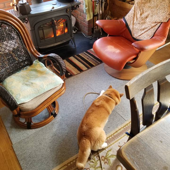 49a65c2c 1070 42c4 9e98 cc03b769a1c5 1574991068414